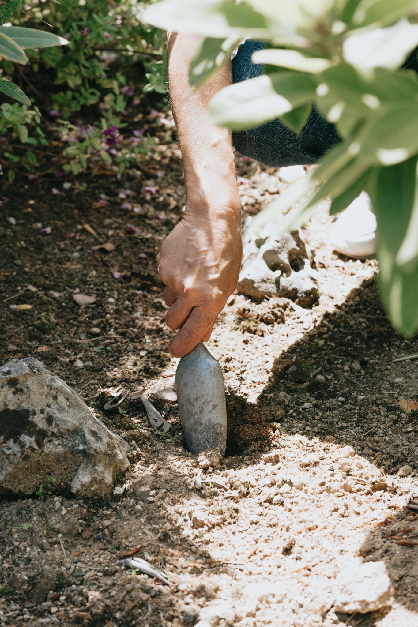 a person digging a hole to plant a tree